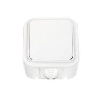 Выключатель 1 кл Пралеска Аква А1 6-222 IP54 белый брызгозащищенный о/у (1/60)