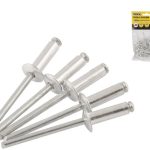 Заклепка 4,8*08 (50шт/уп) ПРАКТИК (1/30)