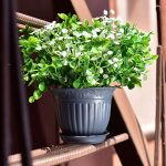 Горшок цветочный с поддоном ВИНОГРАД 6л d-29см, антрацит, пластик