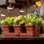 Набор цветочных горшков-трио ВАЛЕНСИЯ: 3*1,1л поддон, терракот, пластик