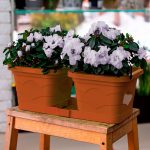 Набор цветочных горшков-дуэт ВАЛЕНСИЯ: 2*2,9л поддон, терракот, пластик