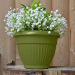 Горшок цветочный с поддоном ФЛОРА 2,6л d-20см, папортник, пластик