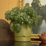 Горшок цветочный с поддоном ГРАНД 3,0л d-17см, папортник, пластик