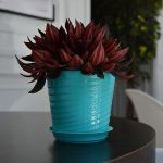 Горшок цветочный-фиалочница с поддоном ВЕРОНА 0,75л d-11см, бирюза, пластик