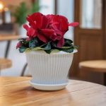 Горшок цветочный с поддоном  ГАММА плюс  4,2л d-25см, белый, пластик