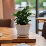 Горшок цветочный с поддоном ГАММА плюс  4,2л d-25см, пудра, пластик