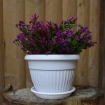 Горшок цветочный с поддоном ФЛОРА 4л d-23см, белый, пластик