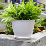 Горшок цветочный с поддоном КОРСИКА 2,4л d-19см, белый, пластик