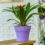 Горшок цветочный с поддоном ТОСКАНА 1,45л d-15см, сирень