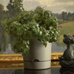 Горшок цветочный с поддоном ГРАНД 10,5л d-25см, серый муссон, пластик