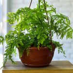 Горшок цветочный с поддоном подвесной ВЕНЕЦИЯ 6л d-28,5см, терракот, пластик, без подвеса