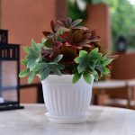 Горшок цветочный с поддоном ВИНОГРАД 6л d-29см, белый, пластик