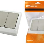 Выключатель 2 кл Bуокса TDM c/у IP54 (10)