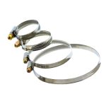 Хомут 12-22мм обжимной нерж Pacet (100/300)