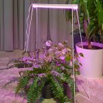 Светильник линейный LED 18Вт для растений 573мм, белый IP20 Спектр для рассады ULI-P56 TM ФитоЛето