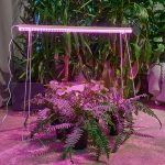 Светильник линейный LED 24Вт для растений 873мм, белый IP20 Спектр для рассады ULI-P57 TM ФитоЛето