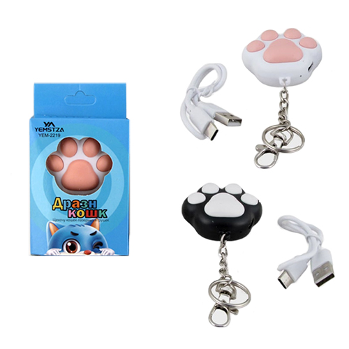 Лазерная указка для кошек NGY-2219 1 лампа+детектор, 5 насадок, шнур TYPE-C