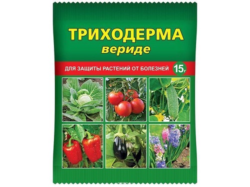 Удобрение от болезни растений Триходерма вериде 15гр BX (1/200)
