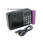 Приемник C-3 FM USB TF аккум18650, шнур miniUSB, черный