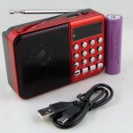 Приемник C-3 FM USB TF аккум18650, шнур miniUSB, красный